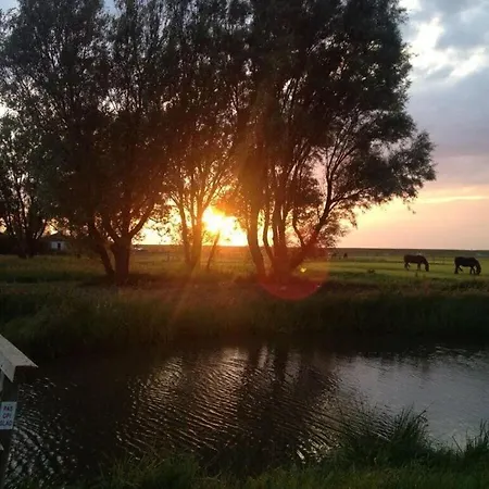 Mesmerising In * Groet